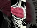 Download Lagu What Happens to Your Body When You Use Creatine