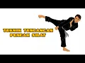 Download Lagu TEKNIK TENDANGAN DALAM PENCAK SILAT