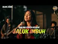 Lagu JALUK IMBUH - DIAN ANIC {Tarling Reggae Cover} Viral TikTok 2026