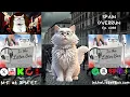 SPAIN OVERRUN In the Litter Box w Jewels Catturd - Ep 1068