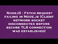 NodeJS Fetch request failing in Node js Client network socket disconnected before secure TLS conn