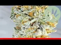 Mendo Breath - All About This Strain