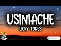 LICKY TONES-USINIACHE(Lyrics)