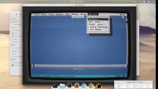 Running through Dosemu in Cool Retro Term