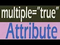 What Use MULTIPLE Attribute in HTML - What is MULTIPLE Attribute in HTML 2021