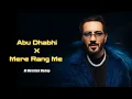 Lagu Abu Dhabhi x Mere Rang me | Ali Merchant Mashup 2025