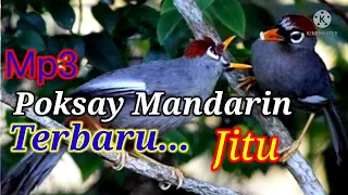 mp3 poksai mandarin paling jitu dn trbaru 