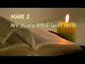 Mark 2 NIV BIBLE with text