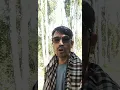 Download Lagu گفتم که طاووس مگر عضو ز عضو خوبتر   نی نی به شان نیشکر شیرینی از سر تا قدم