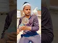 Lagu Kabuter Bhi Samajh Gaya Problem 😲 #birds #kabootar #shorts #viralvideo #skpigeonloft
