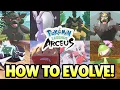 How to Evolve ALL NEW POKEMON in Pokemon Legends Arceus