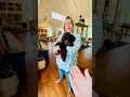 This is a TEDDYBEAR Schnoodle