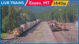 LIVE Trains Railcam Essex Montana
