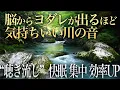 Download Lagu 🎧【脳からヨダレ 川の音】聞き流すだけで物凄い癒しの力で心も身体も浄化され、快眠、集中力アップ、仕事の効率アップが期待できるASMR自然音