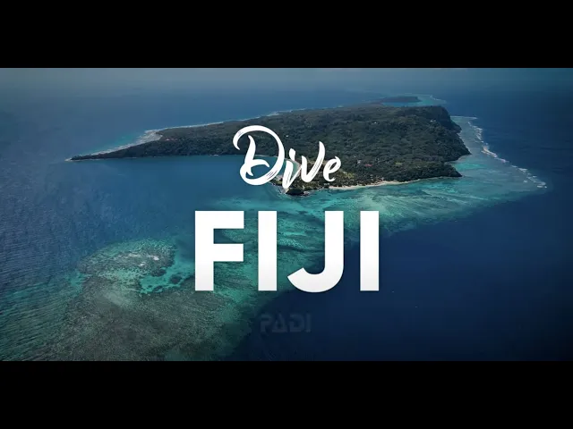 Download MP3 Scuba Diving in Fiji