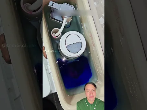 Esta es la manera correcta de vaciar el inodoro sin hacer un desastre.