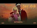 D Voice feat Zuchu - Baby Mpya (Official Lyric Audio)