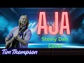 Lagu Steely Dan’s Aja | Solo Fingerstyle Stratocaster Guitar Arrangement