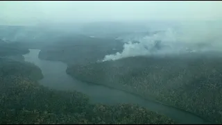 Ka’a zar ukyze wà - Os donos da floresta em perigo