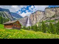 Download Lagu 🎼 Relaxing Piano Melodies with Birds Singing - Perfect for Stress Relief and Restful Sleep 🌿