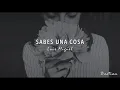 Luis Miguel - Sabes Una Cosa (Letra) ♡