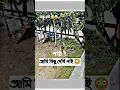 Download Lagu DJ S Govindo 🎧 2026 📼 Dj NoBu KiNG 🎶 DJ Antu 🎼 DJ Alamgir 🎶 Dj Manik🕺Dj Remix 🥁 DJ Ruhul🎚️New Dance