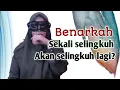 Download Lagu Benarkah sekali selingkuh akan selingkuh lagi? || Milau Official