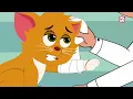 How Bone Fractures Heal? | How Does a Broken Bone Heal? | Process of Bone Healing | Dr. Binocs Show