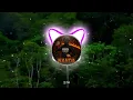 Download Lagu DJ XPOSE DJ MELODI, DJ TIKTOK VIRAL FULL BASS #nocopyrightsounds