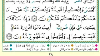 الجزء الثاني البقرة صفحة28 د أيمن سويد معلم 