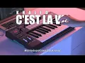 DJ C'est La Vie Tik Tok (Midi Keyboard Cover) FYP Tik Tok | AAAJIK REMIX