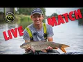 LIVE MATCH FISHING Big River - Big Barbel