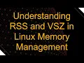 Understanding RSS and VSZ in Linux Memory Management