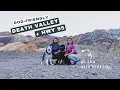 The BEST Roadtrip to Death Valley Dog-Friendly