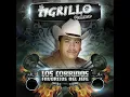 Los Chiqui narcos El Tigrillo Palma