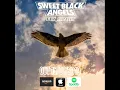 Sweet Black Angels - Fly Away (Audio only)