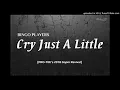 Bingo Players-cry just a little(Pro-Tee Rimix)
