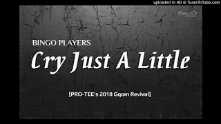 bingo players cry just a little pro tee rimix 