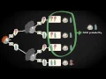 3 4 Quantifying probabilities with tree diagram Basic Statistics Probability UvA