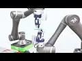 Techman Robot - collaborative robot applications