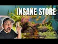 Arizona s Most INSANE Fish Aquarium Store Full Tour