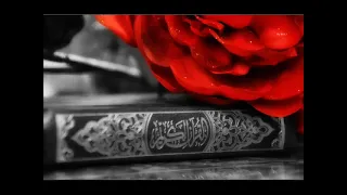 113 سورة الفلق القارئ احمد نعينع  113 سورة الفلق القارئ احمد نعينع