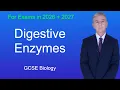GCSE Biology Revision Digestive Enzymes