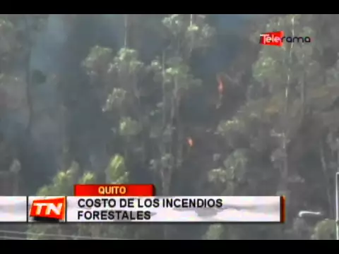 Costos de los incendios forestales