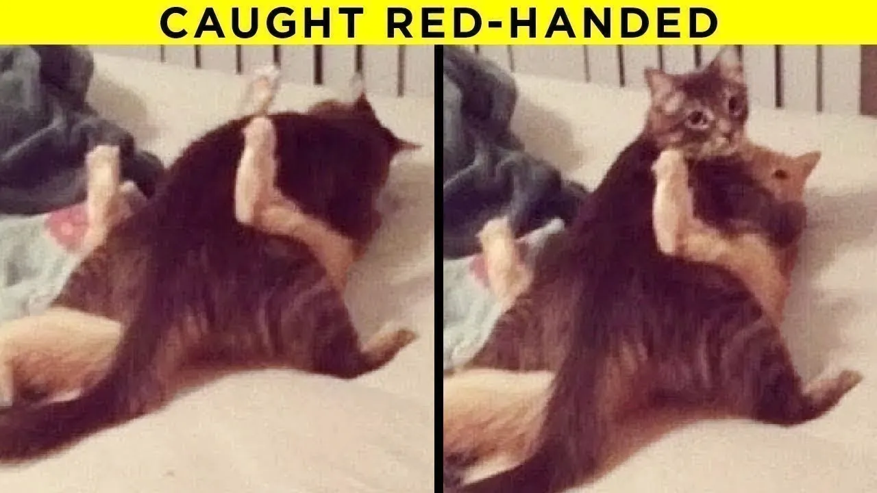 Makeup Brands You Didn't Know Arent Cruelty Free