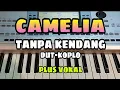 Download Lagu CAMELIA || TANPA KENDANG DUT-KOPLO || PLUS VOKAL