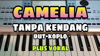 Download CAMELIA || TANPA KENDANG DUT-KOPLO || PLUS VOKAL MP3