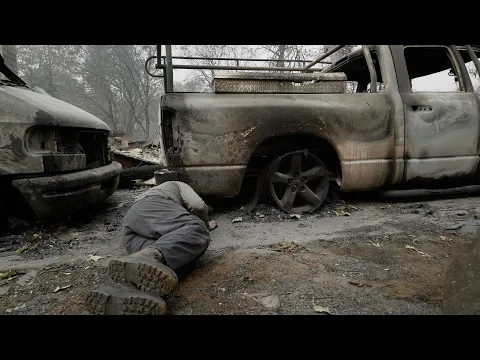 THE FIRE CATS —Save Something Small TRAILER