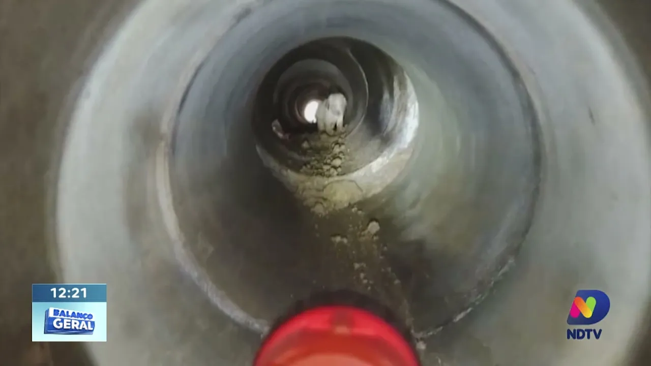 Alto Vale: filhotes de cachorro vão parar dentro de tubulação e são resgatados