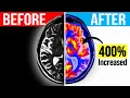 How Fasting Improves The AD Brain Significantly